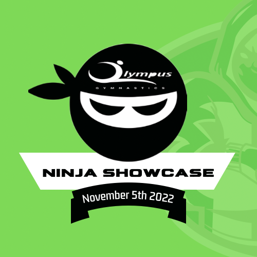 Ninja Winter Showcase 2022